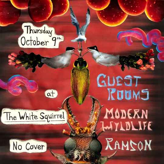 Guest Rooms w. Modern Wyldlife & Ramson
